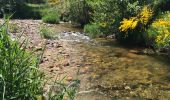 Tocht Stappen Saint-Flour-de-Mercoire - L’Herm Notre dame des neiges - Photo 4