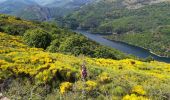 Tour Wandern Villefort - Lac Villefort la Garde Guerin, lac de Villefort.(31-05-2020) - Photo 19