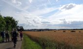 Tocht Stappen Mortagne-au-Perche - Longny-au-Perche (Longny-les-Villages) - Mortagne-au-Perche  22 km - Photo 8