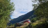 Tour Wandern Vallorcine - J16 - R15 - Chemin des Diligences - Photo 5