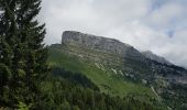 Tour Wandern Le Grand-Bornand - Arabie 1 - Photo 6