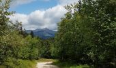 Trail Walking Villard-de-Lans - tour bois barbu. malaterre, le sapin bellier - Photo 3