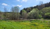 Tour Wandern Feitweiler - rando honville 18-05-2023 - Photo 3