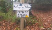 Trail Walking Fresse-sur-Moselle - Croix de Fresse - Vosges - France - Photo 4
