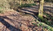 Tour Wandern Bouillon - Rochehaut 211221 - Photo 3