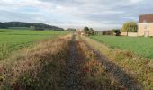 Randonnée Trail Audenarde - Ten Voeten uit koppenberg - Photo 3