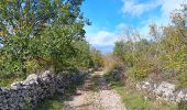 Trail Walking Saint-Paul-le-Jeune - randonnee des combes blancs - Photo 7