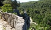 Tocht Stappen Labeaume - Ruoms labeaume Chiapas Figère 15km - Photo 4