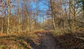 Trail Walking Anthisnes - Tavier 22,3 km - Photo 11