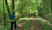 Trail Nordic walking Saint-Léger - Marche dans l'après-midi - Photo 6