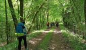 Tocht Noords wandelen Saint-Léger - Marche dans l'après-midi - Photo 6