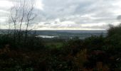 Trail Walking Oissel - 20231128-les essarts cool - Photo 4