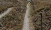 Trail Walking Névez - KERASCOËT - PORT DE TREVIGNON aller et retour par sentier côtier  - Photo 15
