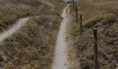 Tour Wandern Névez - KERASCOËT - PORT DE TREVIGNON aller et retour par sentier côtier  - Photo 15