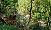 Percorso Marcia La Bourboule - Dordogne-StRoch-Liournat_fohet - Photo 18