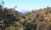 Tour Wandern Pierrefeu-du-Var - SityTrail - Pierrefeu du var - les Baisses - Photo 13