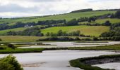 Randonnée A pied The Municipal District of East Cork - Youghal Foxhole Loop walk - Photo 6