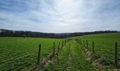 Tocht Stappen Viroinval - Balade à Le Mesnil - Viroinval - Photo 5