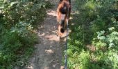 Trail Walking Rieux-Volvestre - La Garonne rieux Volvestre dans le 31 - Photo 2