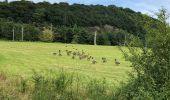 Trail Walking Esneux - Balade  des Castor  - Photo 9