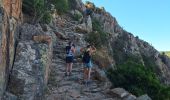 Tocht Stappen Piana - tour des châtaigniers de palani - Photo 19