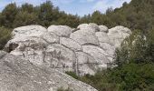 Excursión Senderismo Évenos - Grès de Ste Anne d'Evenos - Photo 10