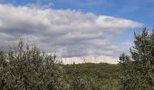 Tour Wandern Vallon-Pont-d'Arc - Les balcons de l ibie 10/10/19 - Photo 1