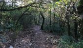 Trail Walking Saint-Laurent-de-Carnols - la chartreuse de valbonne - Photo 12