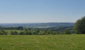 Tocht Stappen Vielsalm - rando ennal 11-05-2022 - Photo 7