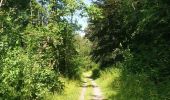 Trail Walking Riemst - montagne saint Pierre sud par les petits chemins - Photo 7