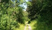 Tocht Stappen Riemst - montagne saint Pierre sud par les petits chemins - Photo 7