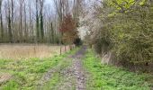 Trail Walking Ternat - Ternat 23,4 km - Photo 12