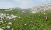 Trail Walking Châtillon-en-Diois - Vallon de Combeau - Photo 3
