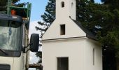 Tocht Te voet Pöllauberg - Waldlehrpfad Masenberg - Photo 3