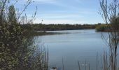 Excursión Bici de montaña Chevreuse - Les étangs de Noé/Port Royal - Photo 1