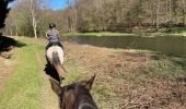 Trail Horseback riding Florenville - Les Epioux  - Photo 8