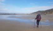 Tour Nordic Walking Villers-sur-Mer - honfleur - Photo 7