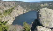 Tocht  Orbey - Col du wettstein  lac noir lac blanc - Photo 5