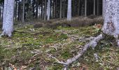 Trail Walking Ferrières - entre Jehonhé et La Fagne  - Photo 17