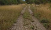 Trail Walking Noceto - CR_Francigena_BL_23_Noceto_Fornovo-Di-Taro_20190922 - Photo 2