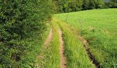 Trail Walking Ferrières - Marche ADEPS My 2024 15 KM - Photo 12