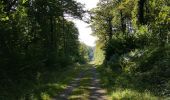 Tocht Stappen Reims - RP51-01 Reims à Les Haies - Photo 1