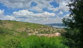 Tour Wandern Chavanay - bessey - Photo 8