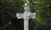 Tour Wandern Lacroix-Saint-Ouen - en forêt de Compiègne_35_la Croix Saint-Sauveur_le Ru du Goderu - Photo 17