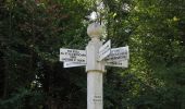 Randonnée Marche Lacroix-Saint-Ouen - en forêt de Compiègne_35_la Croix Saint-Sauveur_le Ru du Goderu - Photo 17