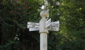 Tocht Stappen Lacroix-Saint-Ouen - en forêt de Compiègne_35_la Croix Saint-Sauveur_le Ru du Goderu - Photo 17