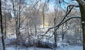 Randonnée Marche Tenneville - Laneuville aux bois 180124 - Photo 15