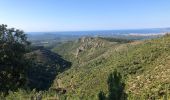 Tocht Stappen Fréjus - Depuis le pont de la Bécasse  - Photo 11