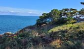 Trail Walking Locmaria - 4-Locmaria - Le Palais à Belle Île en mer  - Photo 4