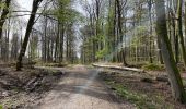 Tocht Stappen Corcy - en forêt de Retz_91_04_2022_la Laie de la Belle Epine - Photo 19